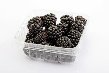 Blackberries in a plastic storage container