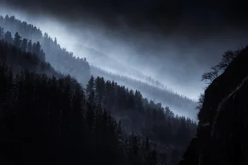 Gordijnen dark landscape with foggy forest © mimadeo
