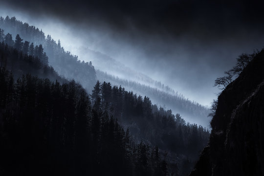 Fototapeta dark landscape with foggy forest