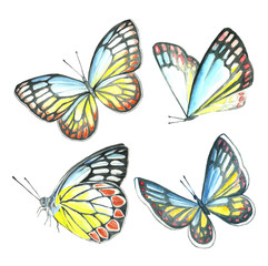 Watercolor collection of colorful butterflies.