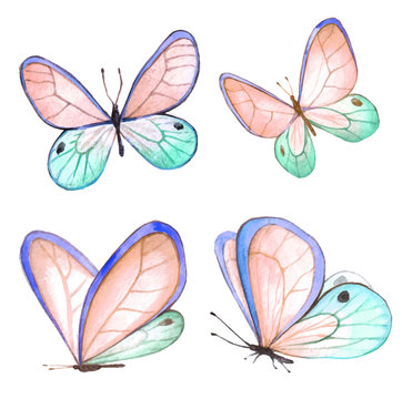 Watercolor collection of colorful butterflies.