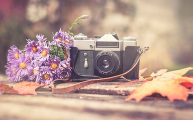 old camera on wooden background surrounded by autumn maple leaves and a bouquet of lilac autumn...