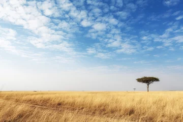 Rolgordijnen Maai de grasweg in het open veld van Kenia © adogslifephoto