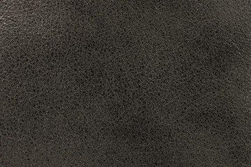 the texture of the skin is gray