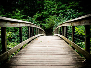 Old bridge in the woods