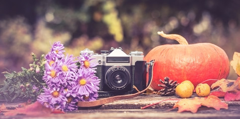old camera on the background of the gifts of autumn: bouquet of lilac autumn asters, pumpkins, maple leaves, pinecone and quince