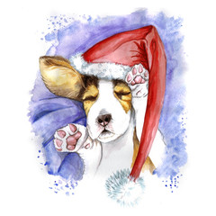 watercolor for Christmas and new year, dog in santa claus hat, winter hat, sleeping puppy, paws, dog lies, asleep, for the design of cards or decor, New Year's print
