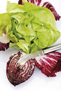 Lettuce and radicchio