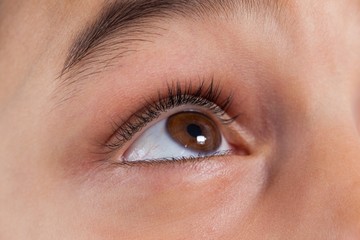 Girls eyes with eyebrows