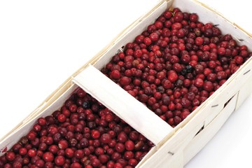 Basket of Lingonberries or Cowberries (Vaccinium vitis-idaea)