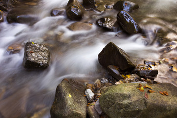 Fototapeta premium Creek in Vrajzi prolaz, trip place near Skrad, Gorski kotar - Croatia
