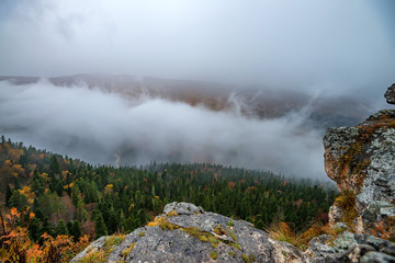 Autumn landscape with mountain forest