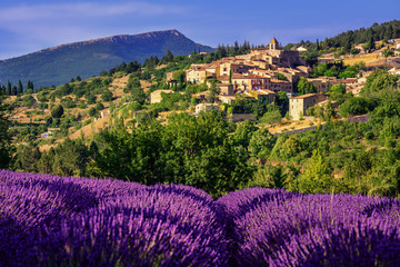 Naklejka na ściany i meble Aurel town and lavender fields in Provence, France