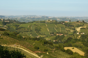 Fototapeta na wymiar Near Cisterna d Asti at the Roero Piedmont Italy in the vineyards