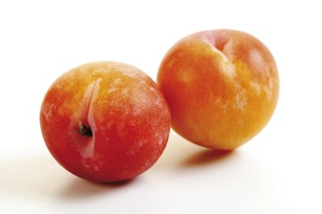 Yellow plums (Prunus)