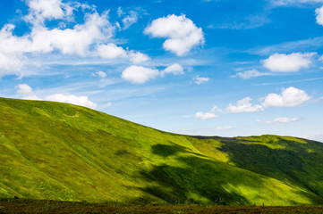 Obraz premium green alps under blue sky. gorgeous mountainous landscape with fresh grassy hills in summer. eternity concept