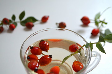 Отвар с шиповника в стеклянной чашке на  белом фоне