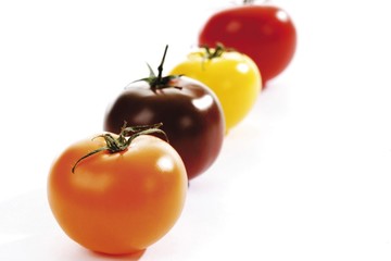 Assorted tomatoes: orange, brown, yellow, red