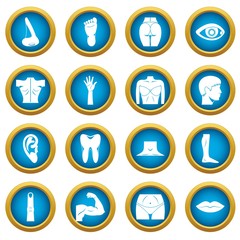 Body parts icons blue circle set