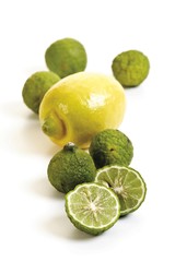Miniature limes and a lemon (Citrus)