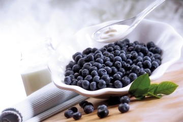 Blueberries in a white porcelain bowl