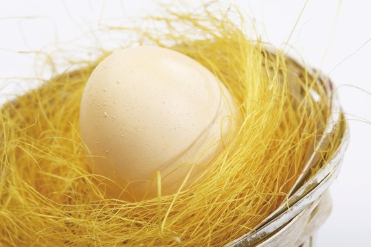 Pastel-coloured Easter egg in a nest