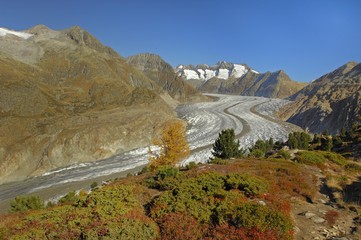 Aletsch glacier with view of the central moraine, Goms, Valais, Switzerland, Europe