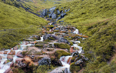 Górski strumień © Jolanta