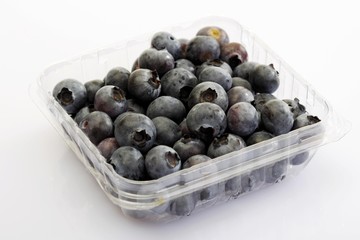 Blueberries in a plastic storage container