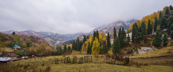 Deciduous forest in the autumn in the mountains, Kazakhstan, Almaty, Medeo