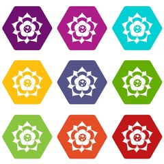 Flower icon set color hexahedron