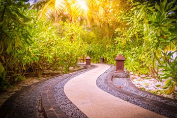 Relaxing and inspirational zen garden