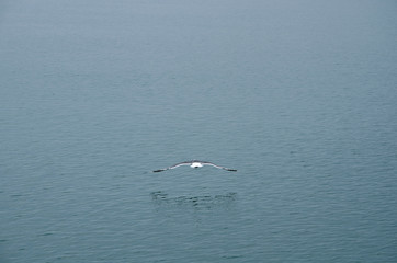 海辺の風景