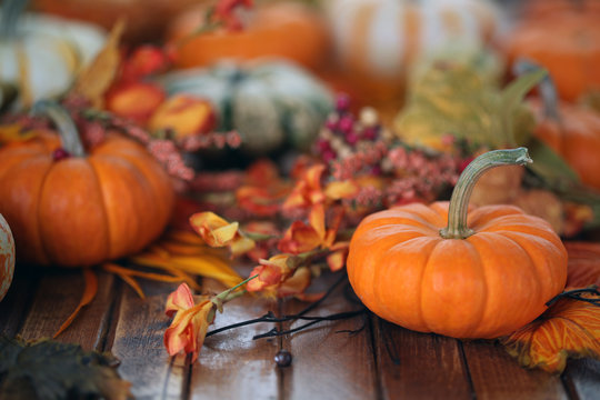 Autumn Pumpkin Background