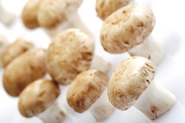 Button Mushrooms or Field Mushrooms (Agaricus)