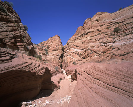 Wire Canyon, Paria Canyon Vermilion Cliffs Wilderness, Utah, USA, North America