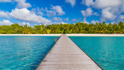 Fototapeta premium Maldives paradise beach. Perfect tropical island. Beautiful palm trees and tropical beach. Moody blue sky and blue lagoon. Luxury travel summer holiday background concept.