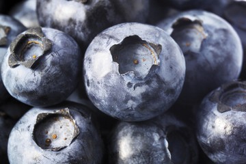 Blueberries, image-filling