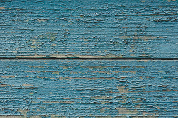 Vintage wood background with blue peeling paint.