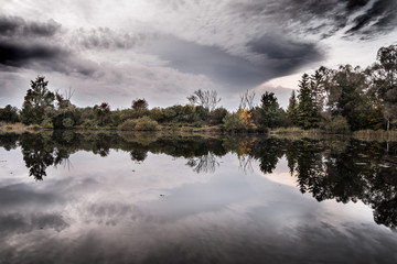 Fototapeta premium Wald - Spiegelung im Wasser - blaue Stunde 