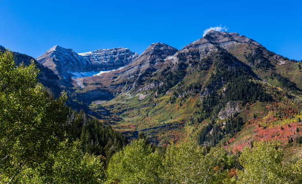 Fall Mointain Colors in Northern Utah