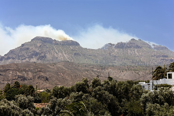 Fototapeta na wymiar Forest fires, Gran Canaria, Spain, Europe