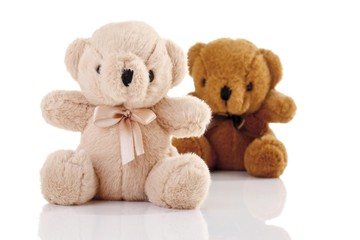 Two teddy bears