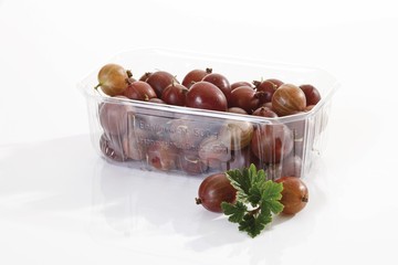 Red gooseberries in a plastik bowl