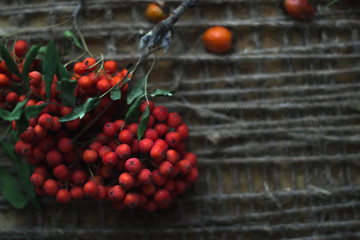 Rowan on a wooden background with a twine.