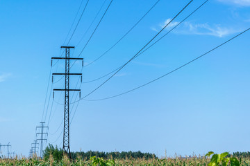 Obraz premium A number of high voltage poles leaving into the distance with high voltage wires. In the foreground a field of corn. In the background a blue sky with clouds. Electricity, high voltage.