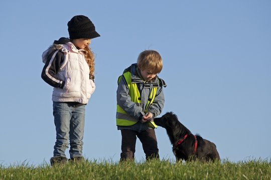 Children Giving A Dog A Treat