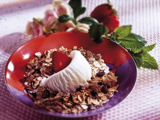 Cereal with vanilla ice cream and strawberries
