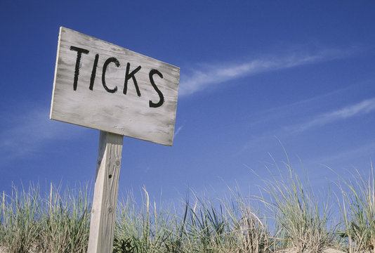 Keep out!  Ticks