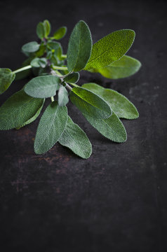 sage